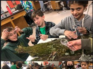 6th Grade Lichens- FB Post